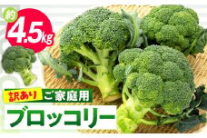 訳あり ご家庭用ブロッコリー 約4.5kg【2024-11月中旬～2025-5月下旬配送】