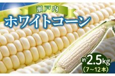 上品な甘さ 瀬戸内 ホワイトコーン 約2.5kg【2025-6月中旬～2025-7月中旬配送】