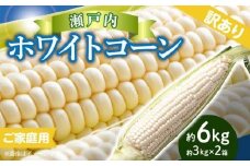 訳あり ご家庭用 瀬戸内ホワイトコーン 約6kg【2025-6月中旬～2025-7月中旬配送】