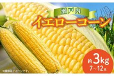 ＼寄附額改定／瀬戸内イエローコーン 約3kg【2025-6月上旬～2025-7月中旬配送】