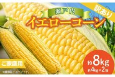 訳あり ご家庭用 瀬戸内イエローコーン 約8kg【2025-6月上旬～2025-7月中旬配送】