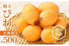 陽玉びわ化粧箱 約500g【2025-5月上旬～2025-6月中旬配送】
