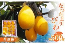 なつたよりびわ化粧箱 約500g【2025-5月中旬～2025-6月中旬配送】
