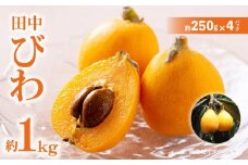 田中びわ 約1kg (約250g×4パック)【2025-6月上旬～2025-7月中旬配送】