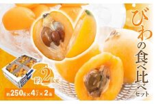 びわの食べ比べセット 約2kg【2025-5月上旬～2025-6月中旬配送】