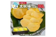 厳選 大玉 太秋 柿 化粧箱　約800g 【2024-9月中旬～2024-10月中旬配送】