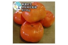 早秋 柿 化粧箱 約700g【2024-9月中旬～2024-10月中旬配送】