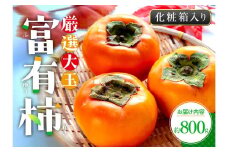 厳選大玉 富有柿 化粧箱 約800g【2024-10月下旬～2024-12月中旬配送】