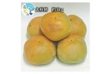 太秋 柿　約3kg【2024-9月中旬～2024-10月中旬配送】