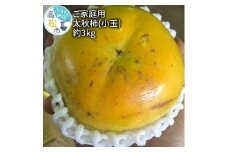 訳あり ご家庭用　太秋柿(小玉)　約3kg 【2024-9月中旬～2024-10月中旬配送】
