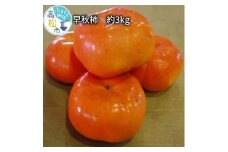 早秋 柿 約3kg【2024-9月中旬～2024-10月中旬配送】