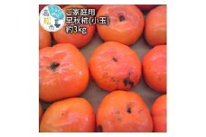 訳あり ご家庭用　早秋柿(小玉)　約3kg【2024-9月中旬～2024-10月中旬配送】