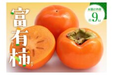 富有柿　約9kg【2024-10月下旬～2024-12月中旬配送】