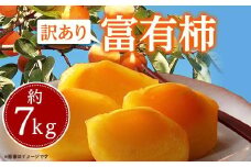 訳あり　富有柿　約7kg【2024-10月下旬～2024-12月中旬配送】