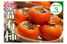 完熟 富有 柿 約3kg 【2024-10月下旬～2024-12月中旬配送】