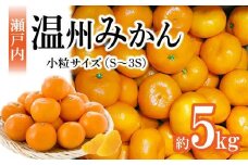 【先行予約】瀬戸内温州みかん　小粒サイズ　約5kg【2025年10月中旬～2026年1月下旬配送】｜柑橘 みかん 温州みかん ミカン 小粒みかん 蜜柑 小玉 箱 甘い 果物 くだもの フルーツ 香川 高松市 人気 おすすめ