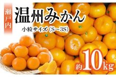 【先行予約】瀬戸内温州みかん　小粒サイズ　約10kg【2025-10月中旬～2026-1月下旬配送】