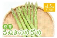さぬきのめざめ 夏芽 ( サイズ 混合 ) 約1.5kg アスパラガス【2024-5月上旬～2024-11月上旬配送】