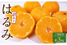 訳あり ご家庭用 はるみ 約3kg【2026-2月上旬～2026-3月下旬配送】