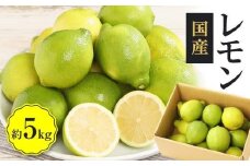 レモン　約5kg【2024年11月下旬～2025年4月上旬配送】