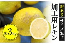 訳あり 加工用 レモン (サイズ混合) 3kg【2024年11月下旬～2025年4月上旬配送】