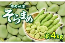 旬の味覚 そらまめ 約4kg【2025年4月下旬～2025年5月下旬配送】