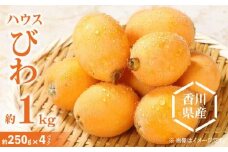 ハウスびわ 約1kg【2025-3月中旬～2025-5月上旬配送】