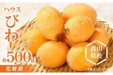 ハウスびわ化粧箱 約500g【2025-3月中旬～2025-5月上旬配送】