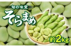 旬の味覚 そらまめ 約2kg【2025年5月上旬～2025年6月上旬配送】