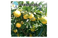 ゆら 早生 みかん 約5kg【2025-9月下旬～2025-11月上旬配送】