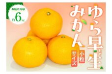 小粒サイズ ゆら早生 みかん 約6kg 【2025-9月下旬～2025-11月上旬配送】