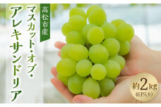 マスカット・オブ・アレキサンドリア　約2kg(6P入り)【2025-8月上旬～2025-9月中旬配送】