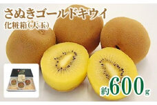 さぬきゴールドキウイ化粧箱(大玉)　約600g【2024-10月中旬～2025-1月下旬配送】