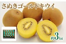 さぬきゴールドキウイ　約3kg【2024-10月中旬～2025-1月下旬配送】