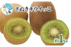 さぬきキウイっこ　約1kg【2024-10月下旬～2024-12月下旬配送】