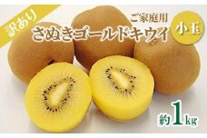 訳あり ご家庭用 さぬきゴールドキウイ (小玉) 約1kg【2024年10月中旬～2025年1月下旬配送】