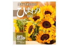 ヒマワリ切花(長さ60～80cm)【2025-6月上旬～2025-9月下旬配送】
