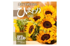 ヒマワリ切花(長さ60～80cm)【2025-6月上旬～2025-9月下旬配送】