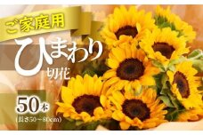 ご家庭用　ヒマワリ切花【2025-6月上旬～2025-9月下旬配送】