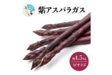 貴重で甘みが強い! 紫アスパラガス ( Mサイズ ) 約1.5kg【2024-6月上旬～2024-10月中旬配送】