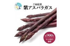 貴重で甘みが強い ! ご家庭用 紫 アスパラガス (細物・サイズ混合) 約900g【2024-6月上旬～2024-10月中旬配送】