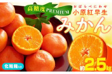 高糖度　プレミアム小原紅早生みかん化粧箱　約2.5kg【2025-11月中旬～2026-1月中旬配送】