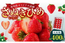 さぬきひめ いちご 化粧箱 約400g【2024-11月上旬～2025-1月下旬配送】