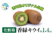 香緑キウイ化粧箱　約1.4kg【2025-1月上旬～2025-3月下旬配送】