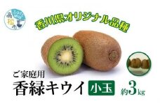 訳あり ご家庭用 香緑キウイ(小玉) 約3kg【2024-11月下旬～2025-3月下旬配送】