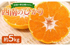 待望の新品種みかん　西南のひかり　約5kg【2024-12月上旬～2025-1月上旬配送】