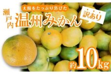 【訳あり】太陽たっぷり浴びた　瀬戸内温州みかん　約10kg【2025-10月上旬～2026-1月中旬配送】