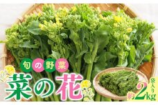 旬の野菜 菜の花 (袋入り) 約2kg【2024-12月上旬～2025-3月下旬配送】