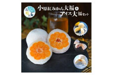 小原紅みかん大福(6個)&フルーツアイス大福3種(各2個)セット