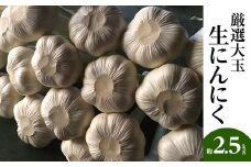 厳選大玉 生にんにく 約2.5kg【2025-5月上旬～2025-6月上旬配送】